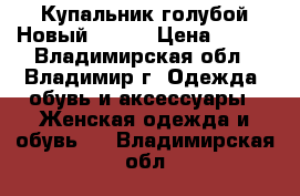 Купальник голубой Новый 54/56 › Цена ­ 500 - Владимирская обл., Владимир г. Одежда, обувь и аксессуары » Женская одежда и обувь   . Владимирская обл.